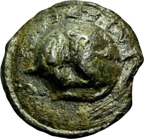 The coin, obverse