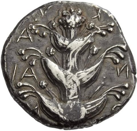 The coin, obverse