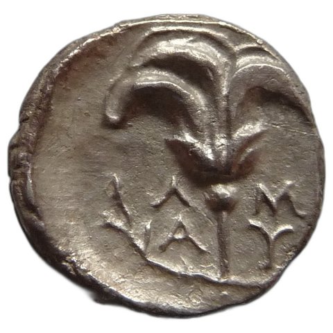 The coin, reverse