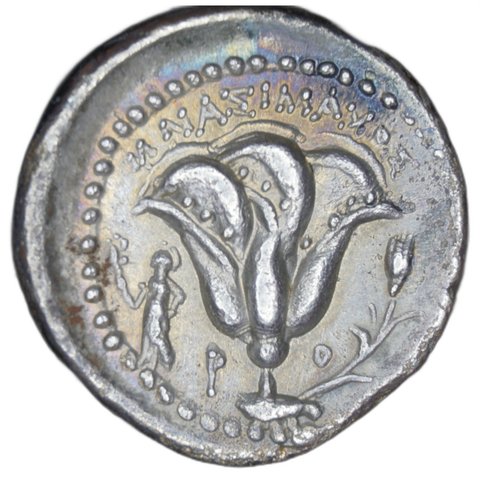 The coin, reverse