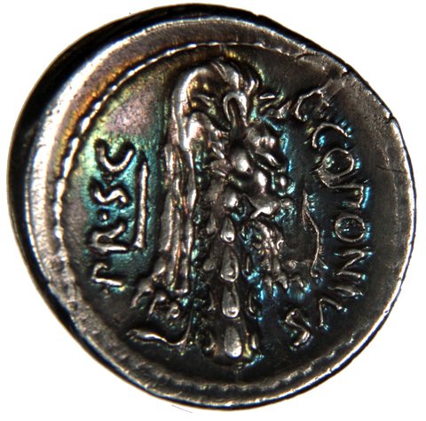 The coin, reverse
