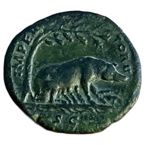 The coin, reverse