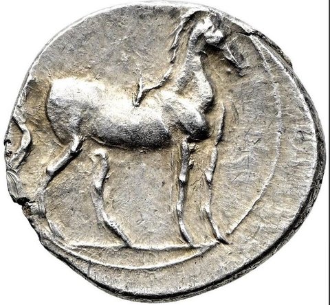 The coin, reverse