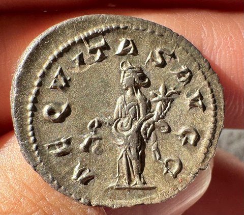 The coin, reverse