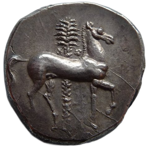 The coin, reverse