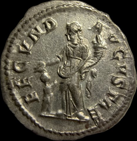 The coin, reverse
