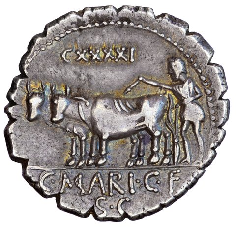 The coin, reverse