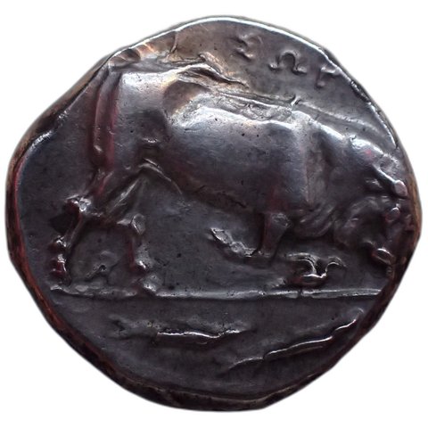 The coin, reverse