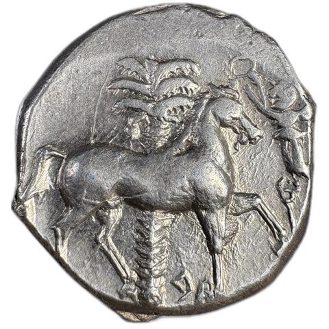 The coin, reverse