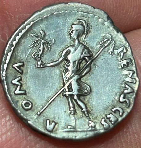 The coin, reverse