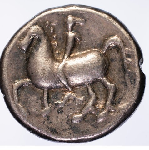 The coin, reverse