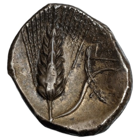 The coin, reverse