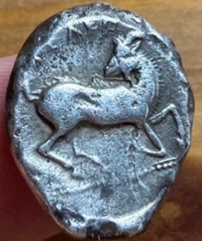 The coin, reverse
