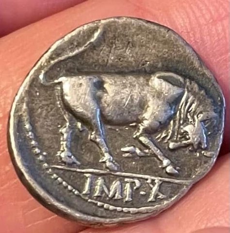 The coin, reverse
