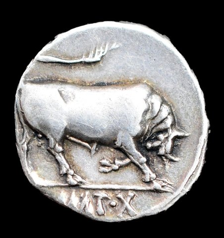 The coin, reverse