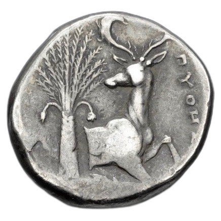 The coin, reverse