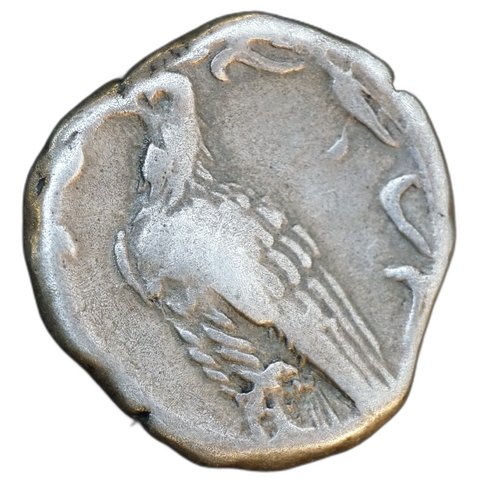 The coin, reverse