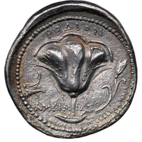 The coin, reverse