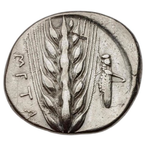 The coin, reverse