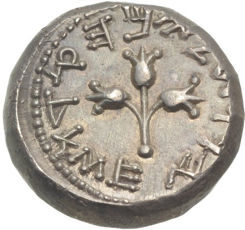 The coin, reverse