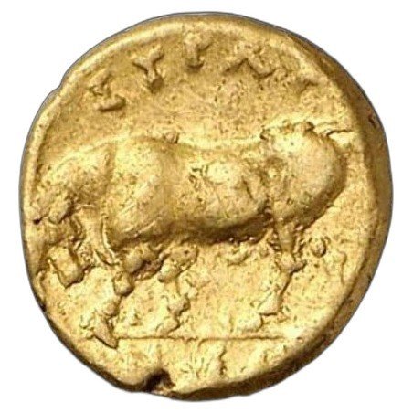 The coin, reverse