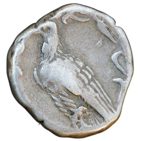 The coin, reverse