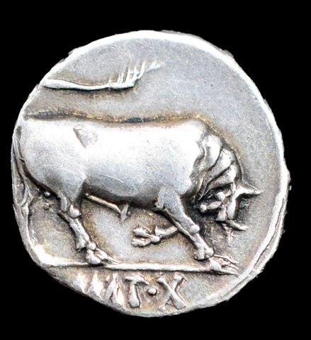 The coin, reverse