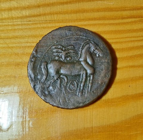 The coin, reverse