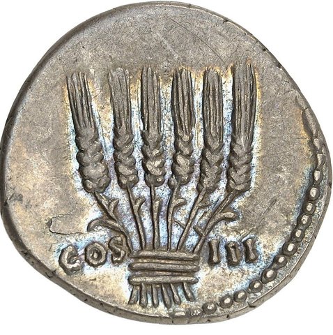 The coin, reverse