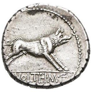 The coin, reverse