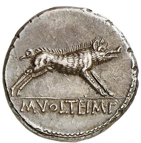 The coin, reverse