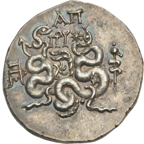 The coin, reverse