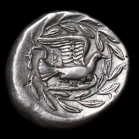 The coin, reverse