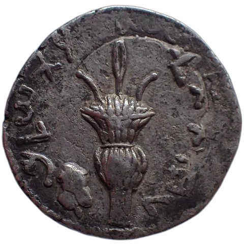 The coin, reverse